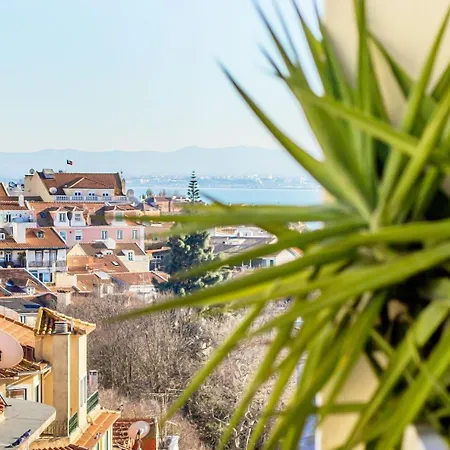 Daire Principe Real Sunny Lisboa